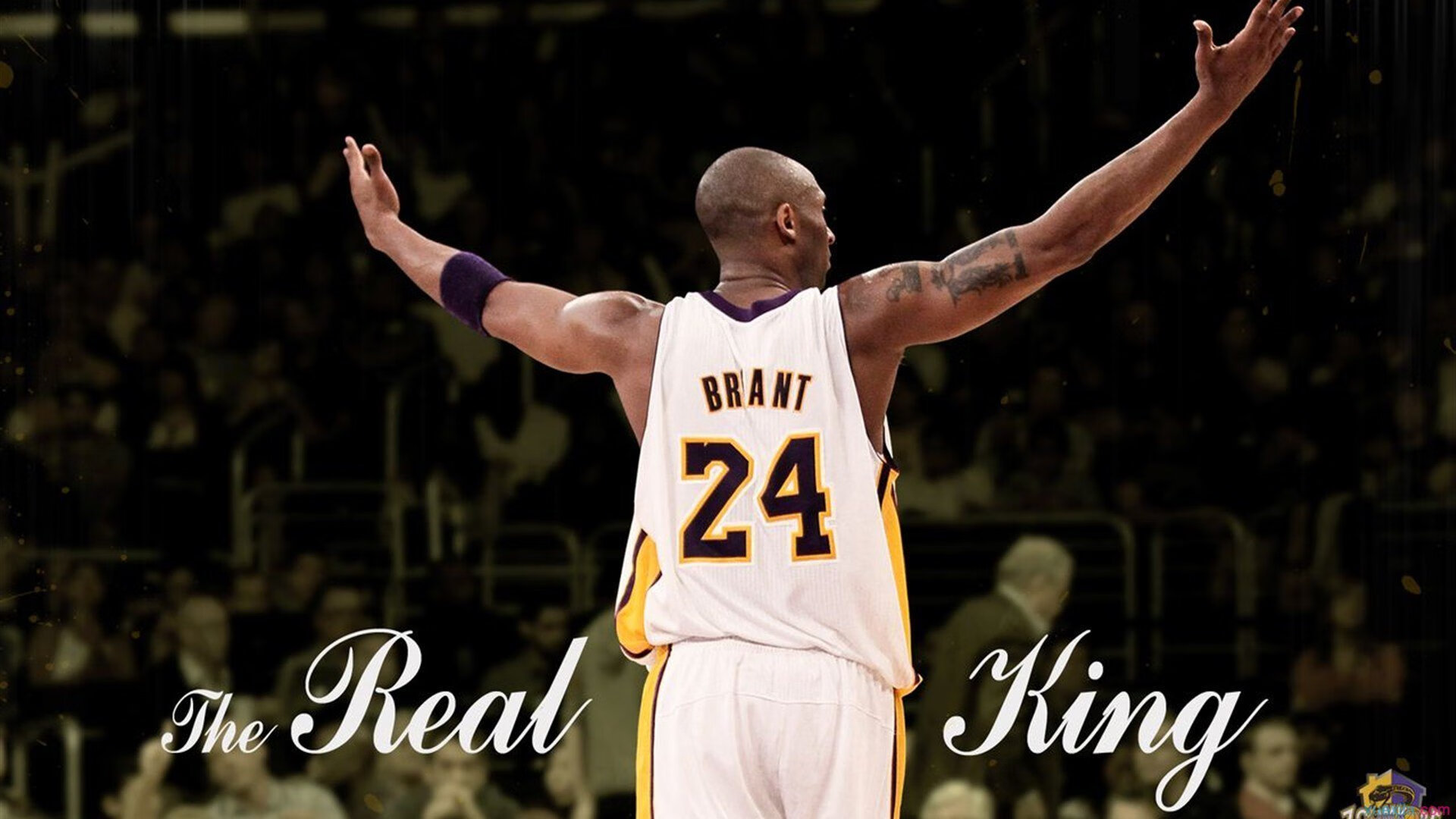 开云体育下载app-国王新秀发布训练日志记录成长每一步，新国王游戏视频