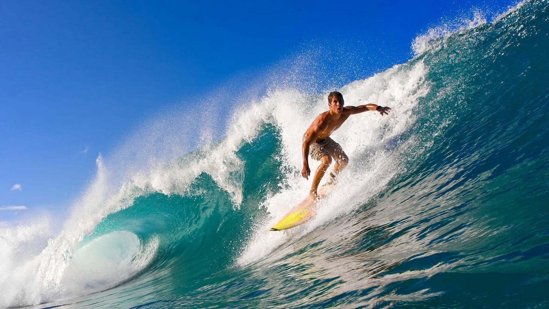 弗朗索瓦·斯图尔特：南非队的全场指挥官，以精准传球调度比赛